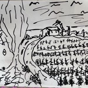 15x9-cm-1_640x400