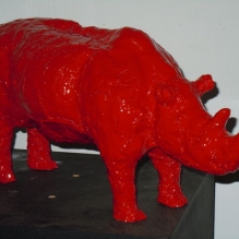 rhino résine (1)